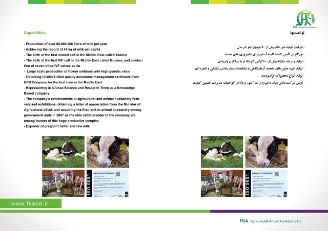 کاتالوگ شرکت