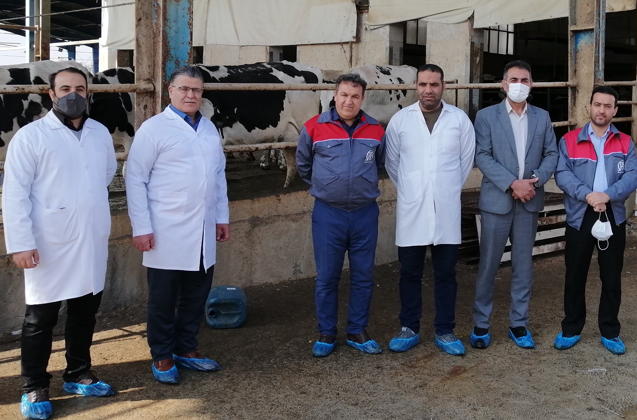 IMG 20220201 1143121